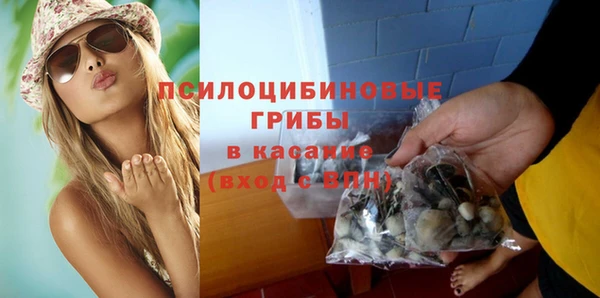 сатива Коряжма