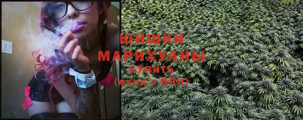PSILOCYBIN Корсаков