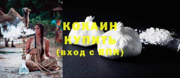 сатива Коряжма