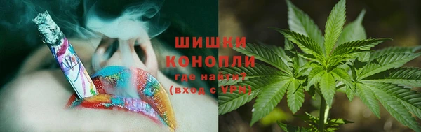 PSILOCYBIN Корсаков