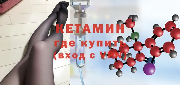 сатива Коряжма