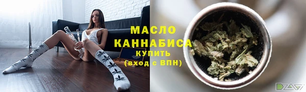 сатива Коряжма