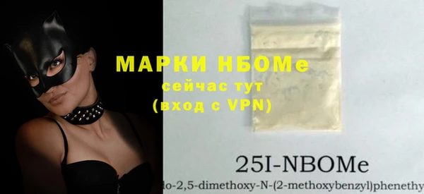 сатива Коряжма