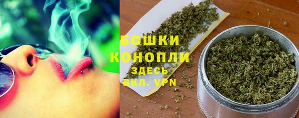 сатива Коряжма