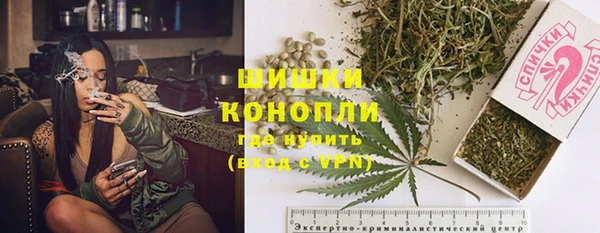сатива Коряжма