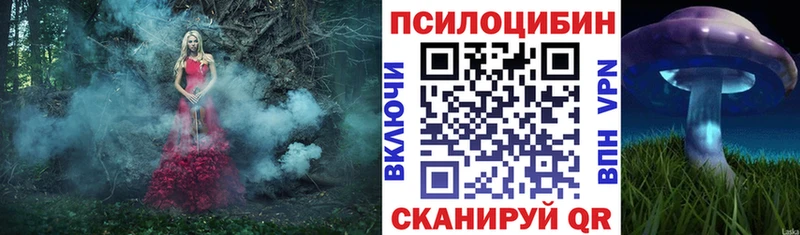 Псилоцибиновые грибы Cubensis Валуйки